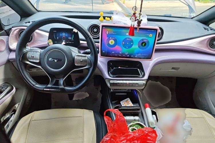 Used BYD Dolphin 2021 405 km Fashion Edition Center Console