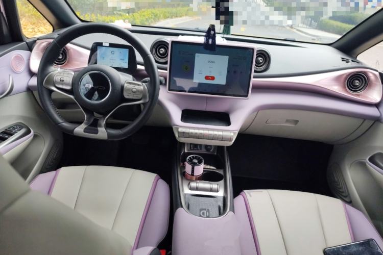 Used BYD Dolphin 2021 405 km Fashion Edition Center Console
