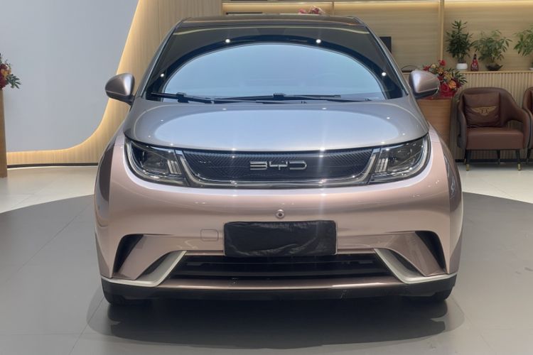 Used BYD Dolphin 2021 405 km Free Version Exterior 2