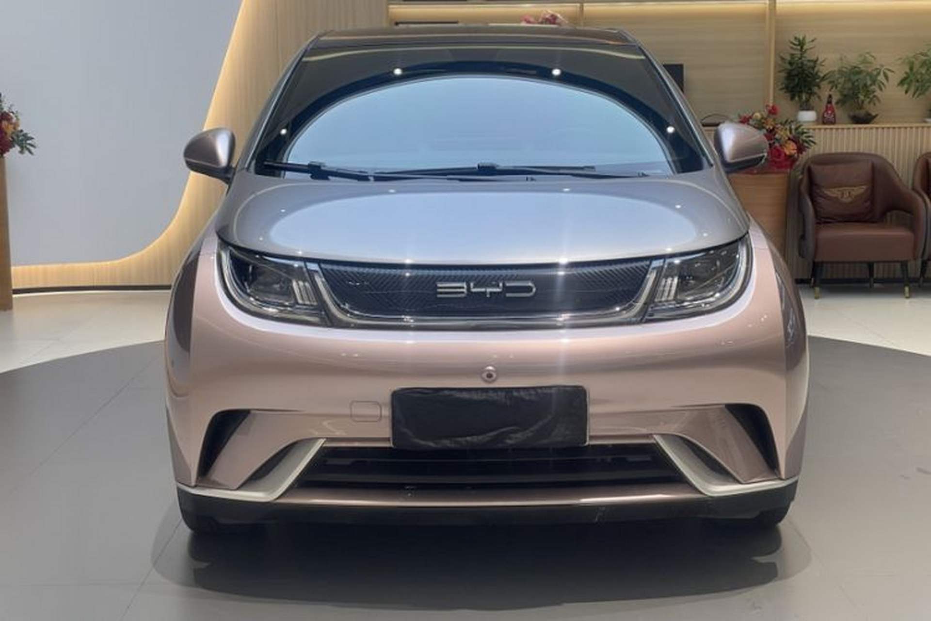 Used BYD Dolphin 2021 405 km Free Version Exterior 2