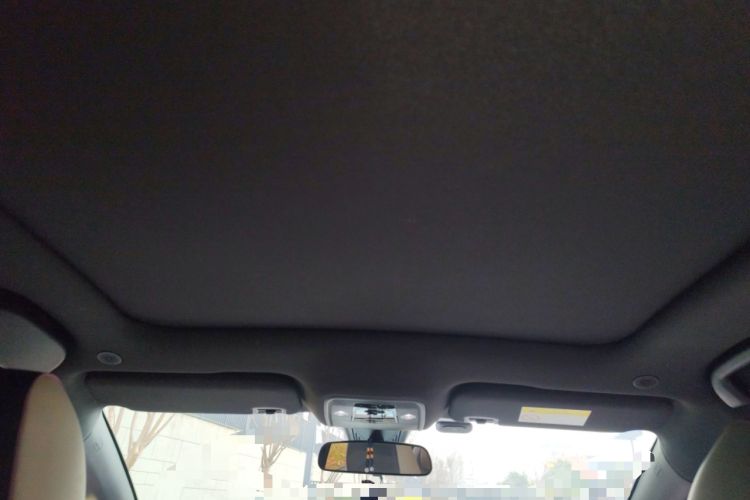 Used BYD Dolphin 2021 405 km Fashion Edition Headliner