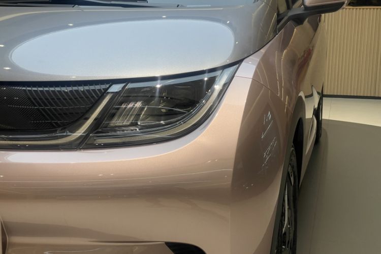 Used BYD Dolphin 2021 405 km Free Version Left Front Headlight