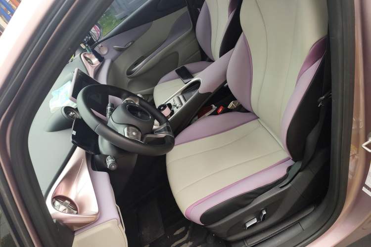 Used BYD Dolphin 2021 405 km Fashion Edition Left Front Seat