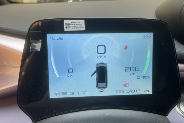Used BYD Dolphin 2021 405 km Free Version Odometer Close Up