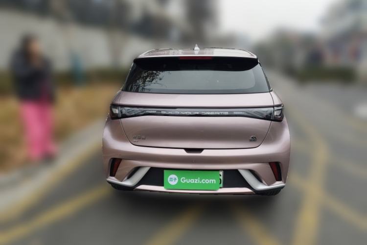 Used BYD Dolphin 2021 405 km Fashion Edition Rear