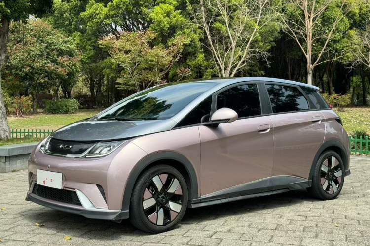 BYD Dolphin 2021 401km Knight Edition de segunda mano Guazi used car, China used car export, Used car for sale, Used  cars, Cheapest cars for sale