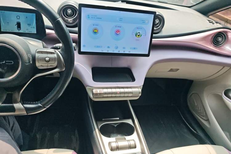 Used BYD Dolphin 2021 405 km Fashion Edition Audio And AC Panel