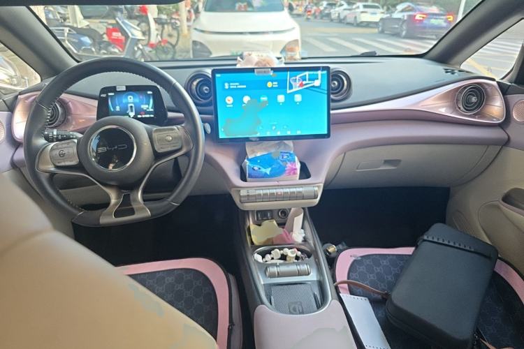 Used BYD Dolphin 2021 405 km Fashion Edition Center Console