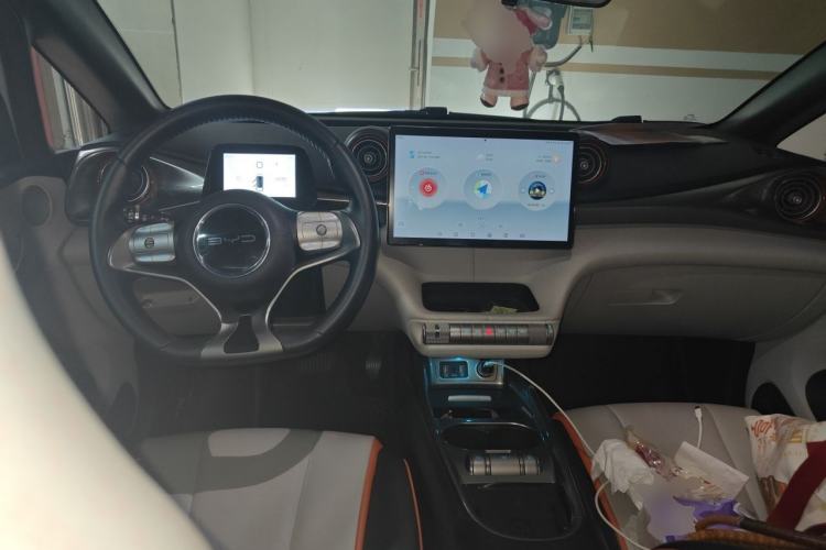 Used BYD Dolphin 2021 405 km Fashion Edition Center Console