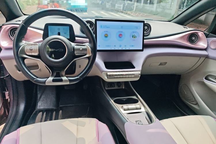Used BYD Dolphin 2021 405 km Fashion Edition Center Console