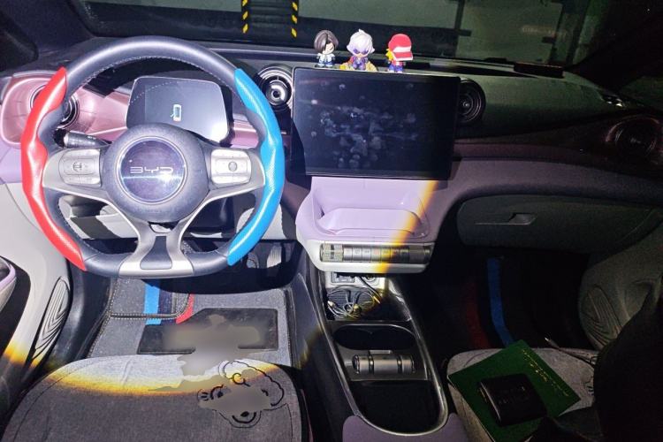 Used BYD Dolphin 2021 405 km Fashion Edition Center Console