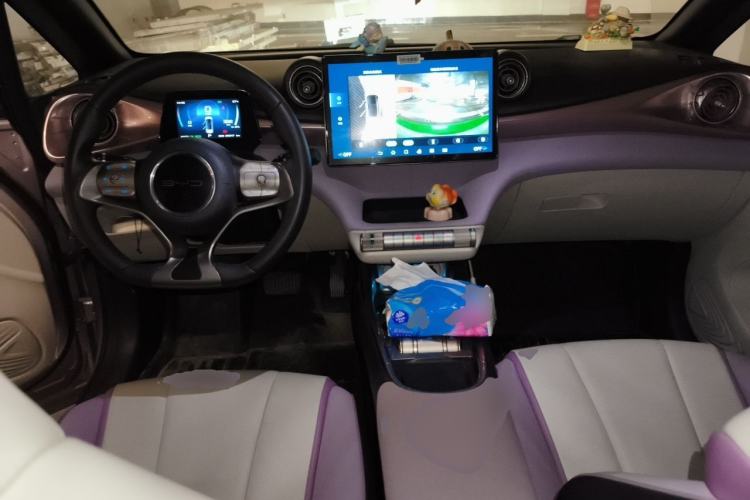 Used BYD Dolphin 2021 405 km Fashion Edition Center Console