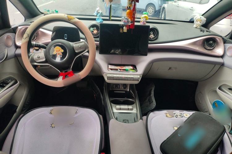 Used BYD Dolphin 2021 405 km Fashion Edition Center Console