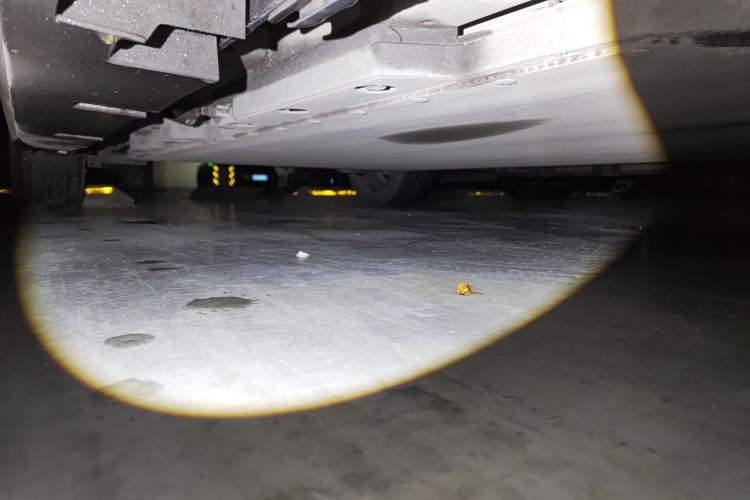 Used BYD Dolphin 2021 401km Knight Edition Chassis Front Right