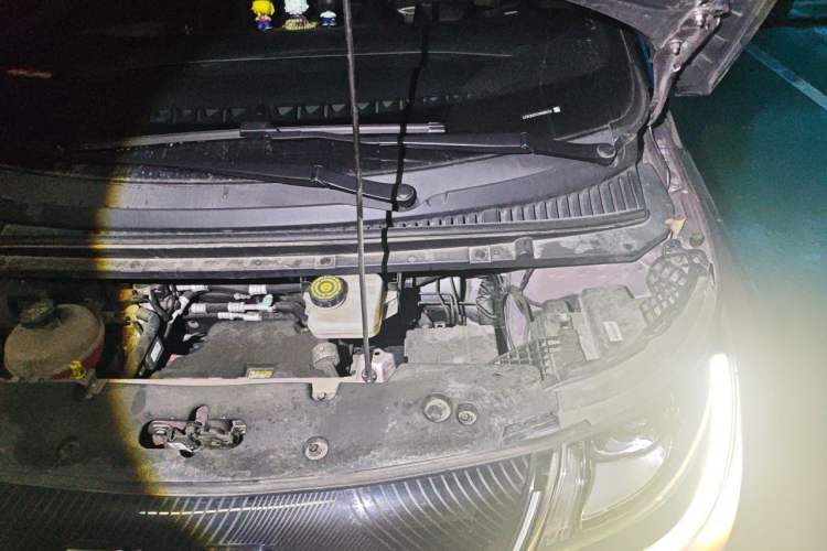 Used BYD Dolphin 2021 405 km Fashion Edition Engine Bay Left