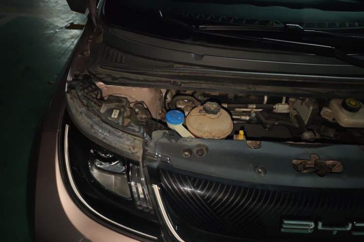 Used BYD Dolphin 2021 405 km Fashion Edition Engine Bay Right