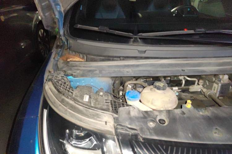 Used BYD Dolphin 2021 401km Knight Edition Engine Bay Right