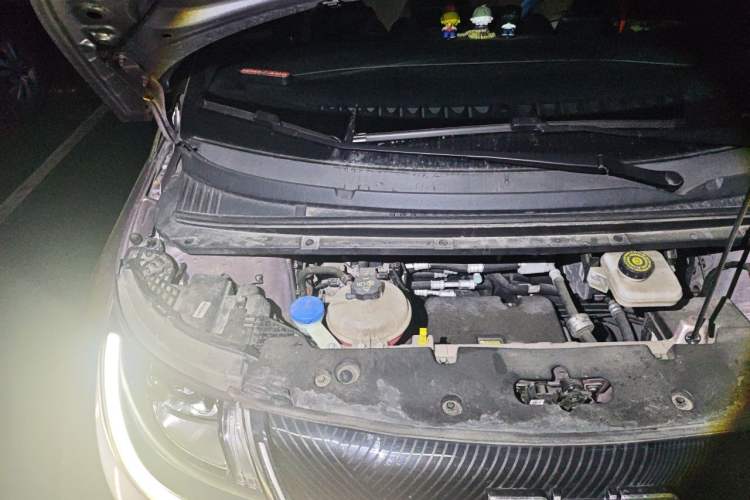 Used BYD Dolphin 2021 405 km Fashion Edition Engine Bay Right