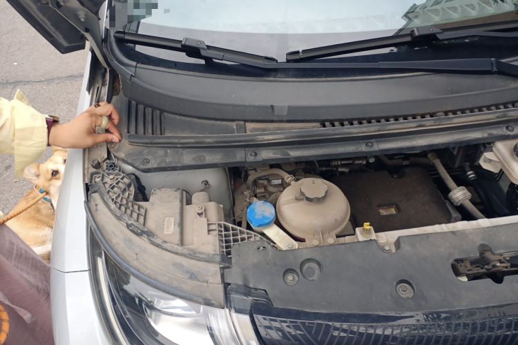 Used BYD Dolphin 2021 405 km Free Version Engine Bay Right