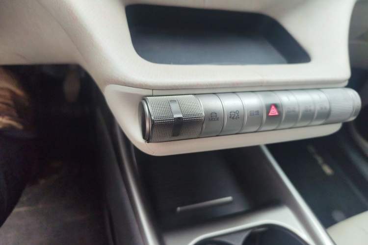 Used BYD Dolphin 2021 405 km Free Version Gear Lever