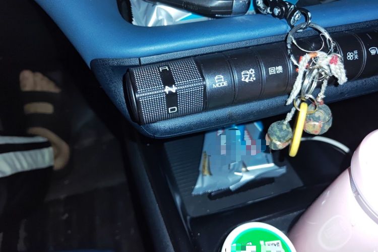 Used BYD Dolphin 2021 401km Knight Edition Gear Lever