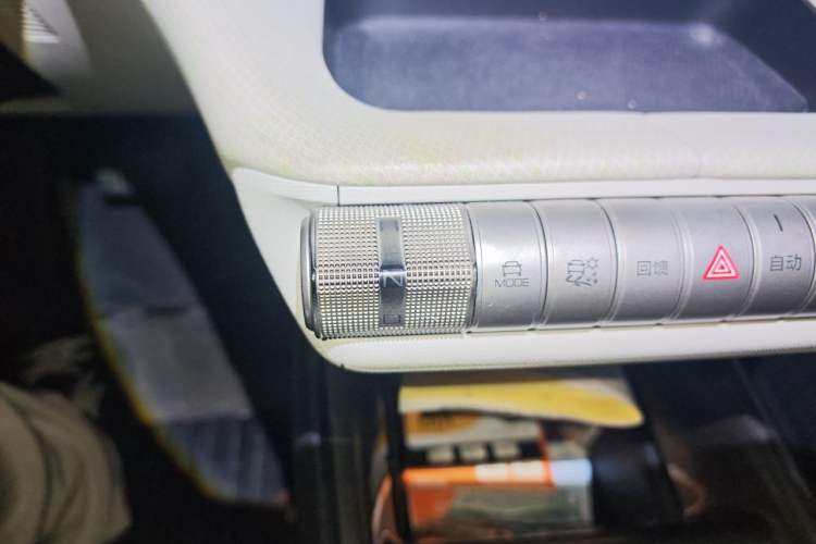 Used BYD Dolphin 2021 405 km Free Version Gear Lever