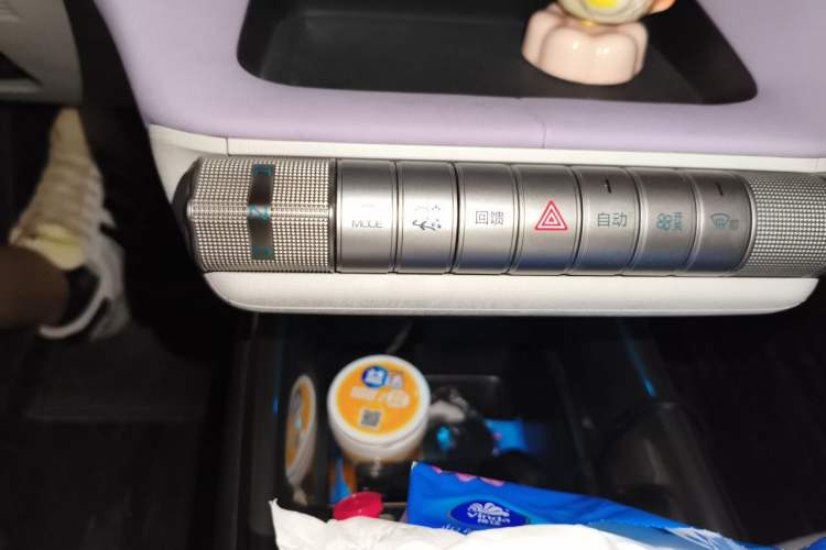 Used BYD Dolphin 2021 405 km Fashion Edition Gear Lever