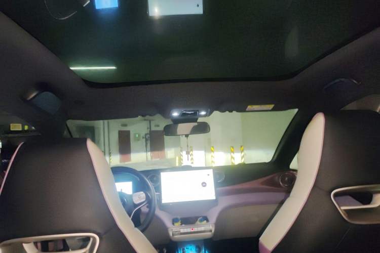 Used BYD Dolphin 2021 405 km Fashion Edition Headliner