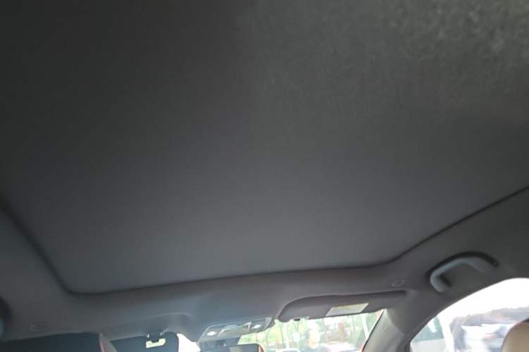 Used BYD Dolphin 2021 405 km Fashion Edition Headliner