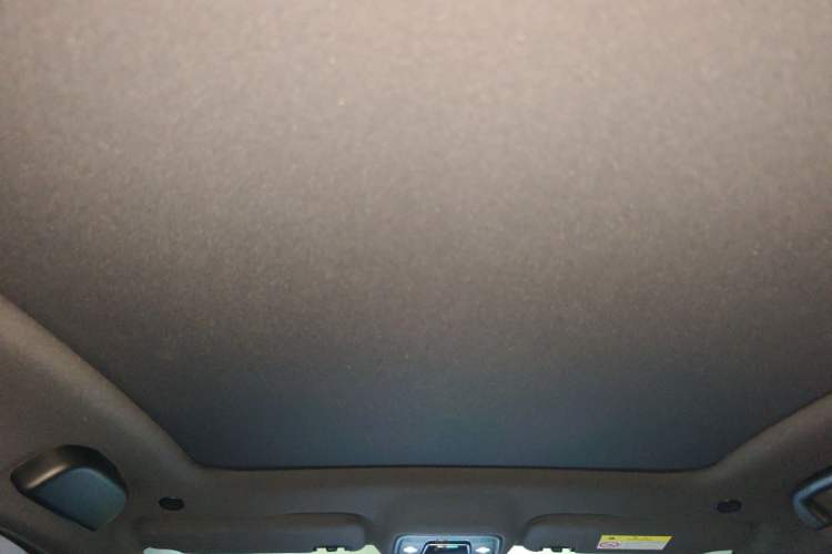 Used BYD Dolphin 2021 401km Knight Edition Headliner