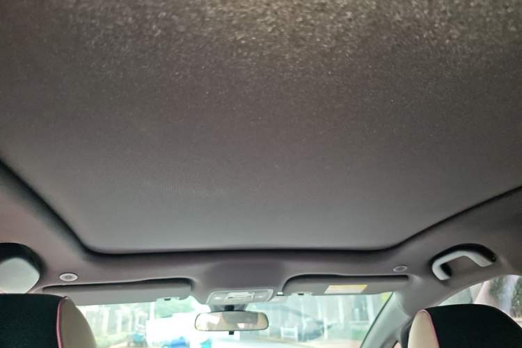 Used BYD Dolphin 2021 405 km Fashion Edition Headliner