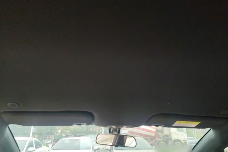 Used BYD Dolphin 2021 405 km Free Version Headliner