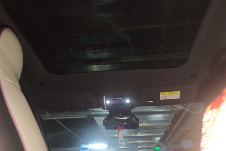 Used BYD Dolphin 2021 401km Knight Edition Headliner