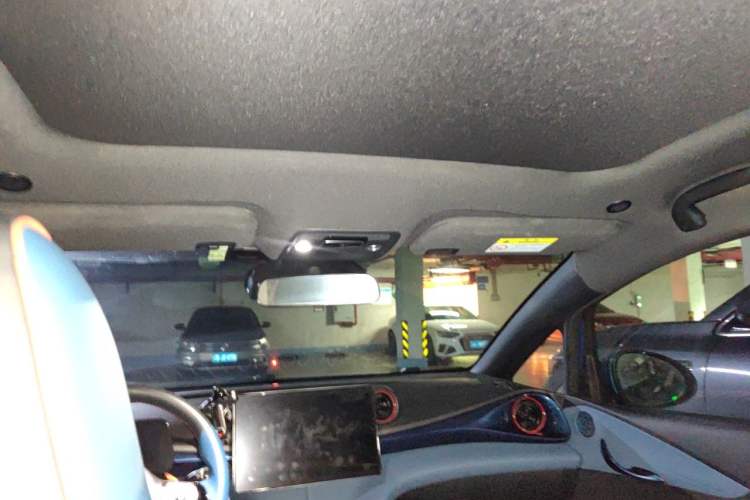 Used BYD Dolphin 2021 401km Knight Edition Headliner