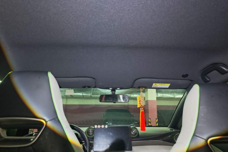Used BYD Dolphin 2021 405 km Free Version Headliner