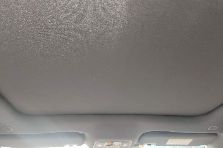 Used BYD Dolphin 2021 405 km Fashion Edition Headliner