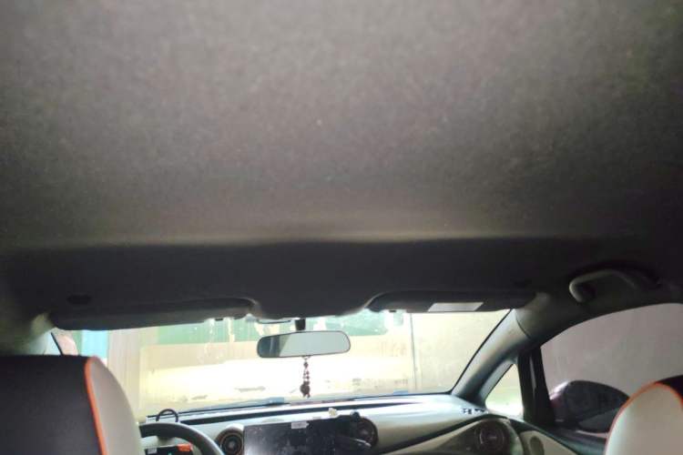 Used BYD Dolphin 2021 405 km Free Version Headliner