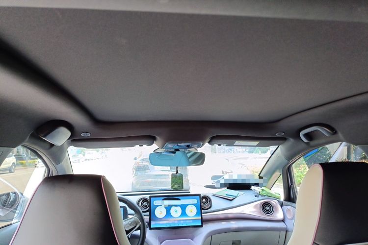 Used BYD Dolphin 2021 401km Knight Edition Headliner
