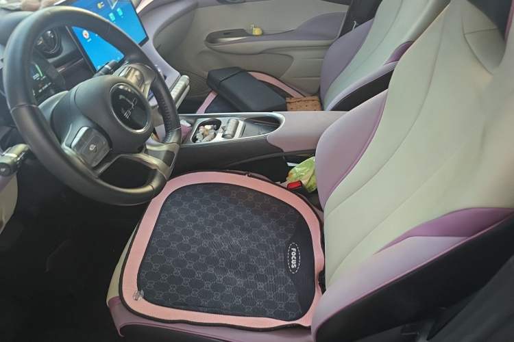 Used BYD Dolphin 2021 405 km Fashion Edition Left Front Seat
