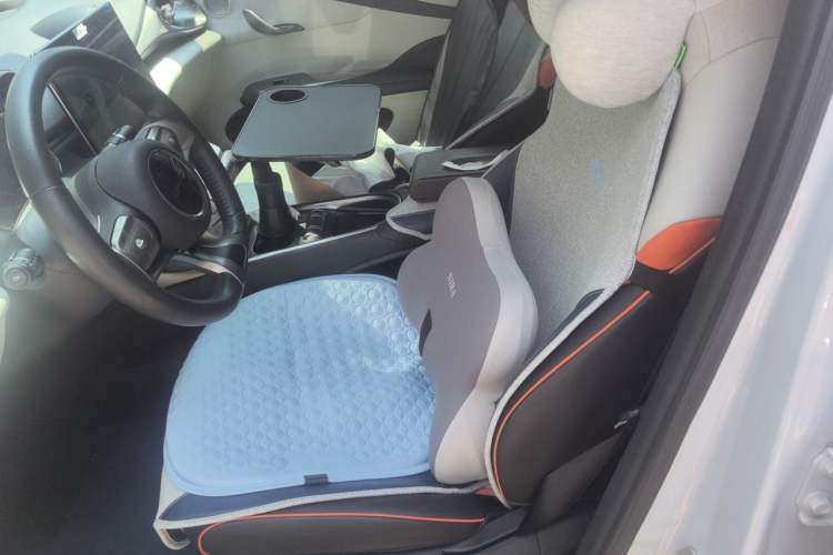 Used BYD Dolphin 2021 401km Knight Edition Left Front Seat