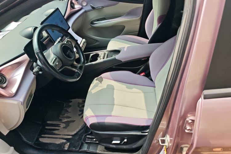 Used BYD Dolphin 2021 405 km Fashion Edition Left Front Seat