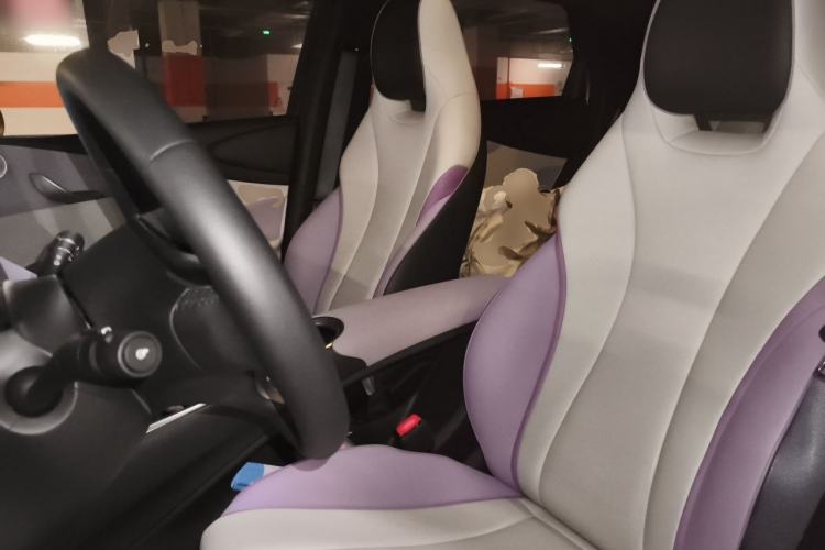 Used BYD Dolphin 2021 405 km Fashion Edition Left Front Seat