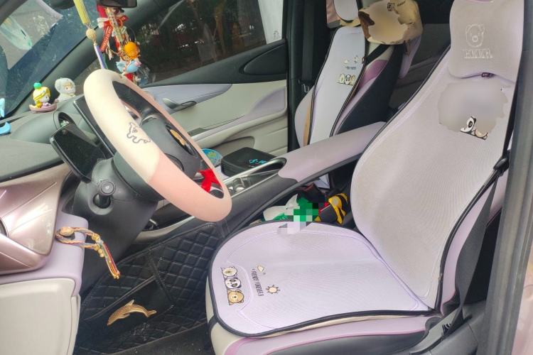 Used BYD Dolphin 2021 405 km Fashion Edition Left Front Seat