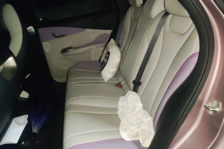 Used BYD Dolphin 2021 405 km Fashion Edition Left Rear Seat