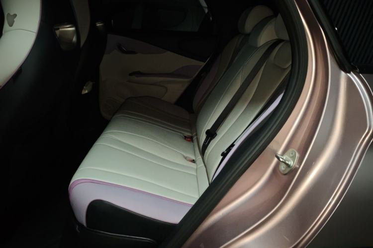 Used BYD Dolphin 2021 405 km Fashion Edition Left Rear Seat