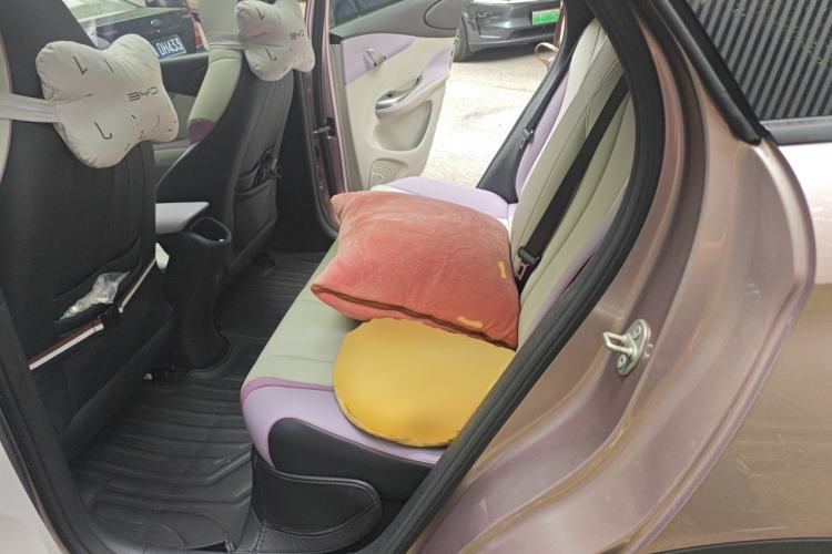 Used BYD Dolphin 2021 405 km Fashion Edition Left Rear Seat