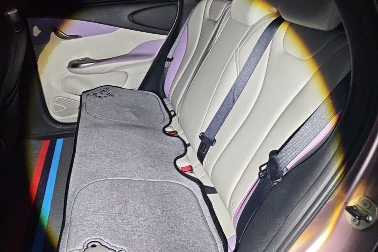Used BYD Dolphin 2021 405 km Fashion Edition Left Rear Seat