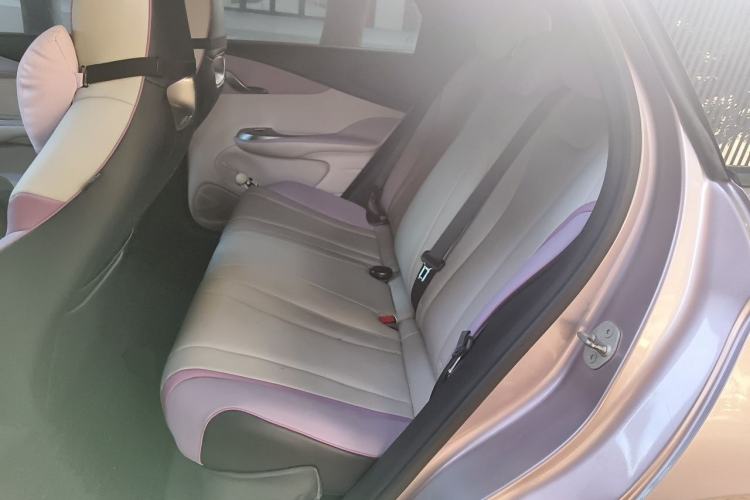 Used BYD Dolphin 2021 401km Knight Edition Left Rear Seat