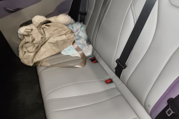 Used BYD Dolphin 2021 405 km Fashion Edition Left Rear Seat