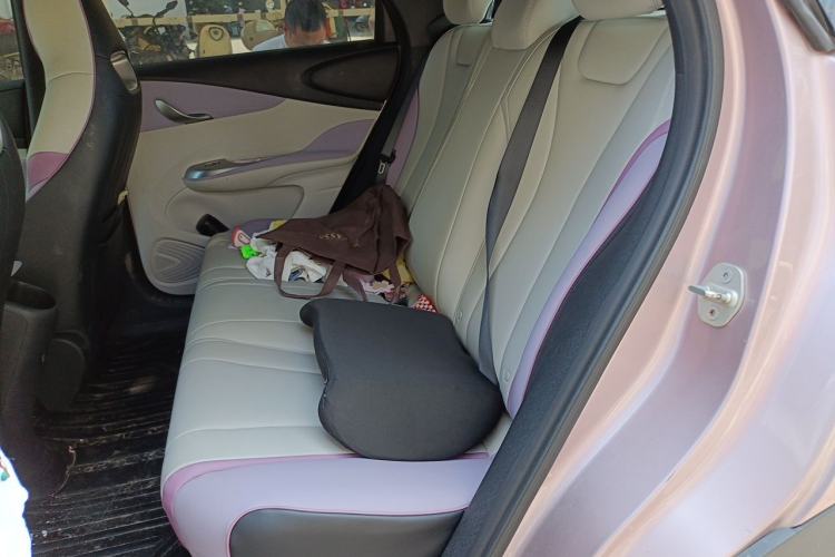 Used BYD Dolphin 2021 401km Knight Edition Left Rear Seat